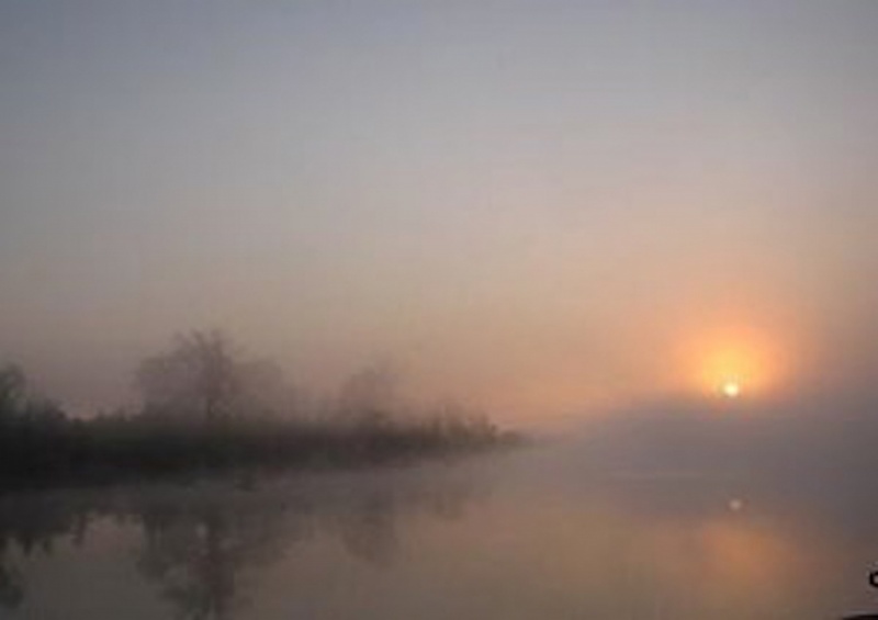 Sunrise through fog